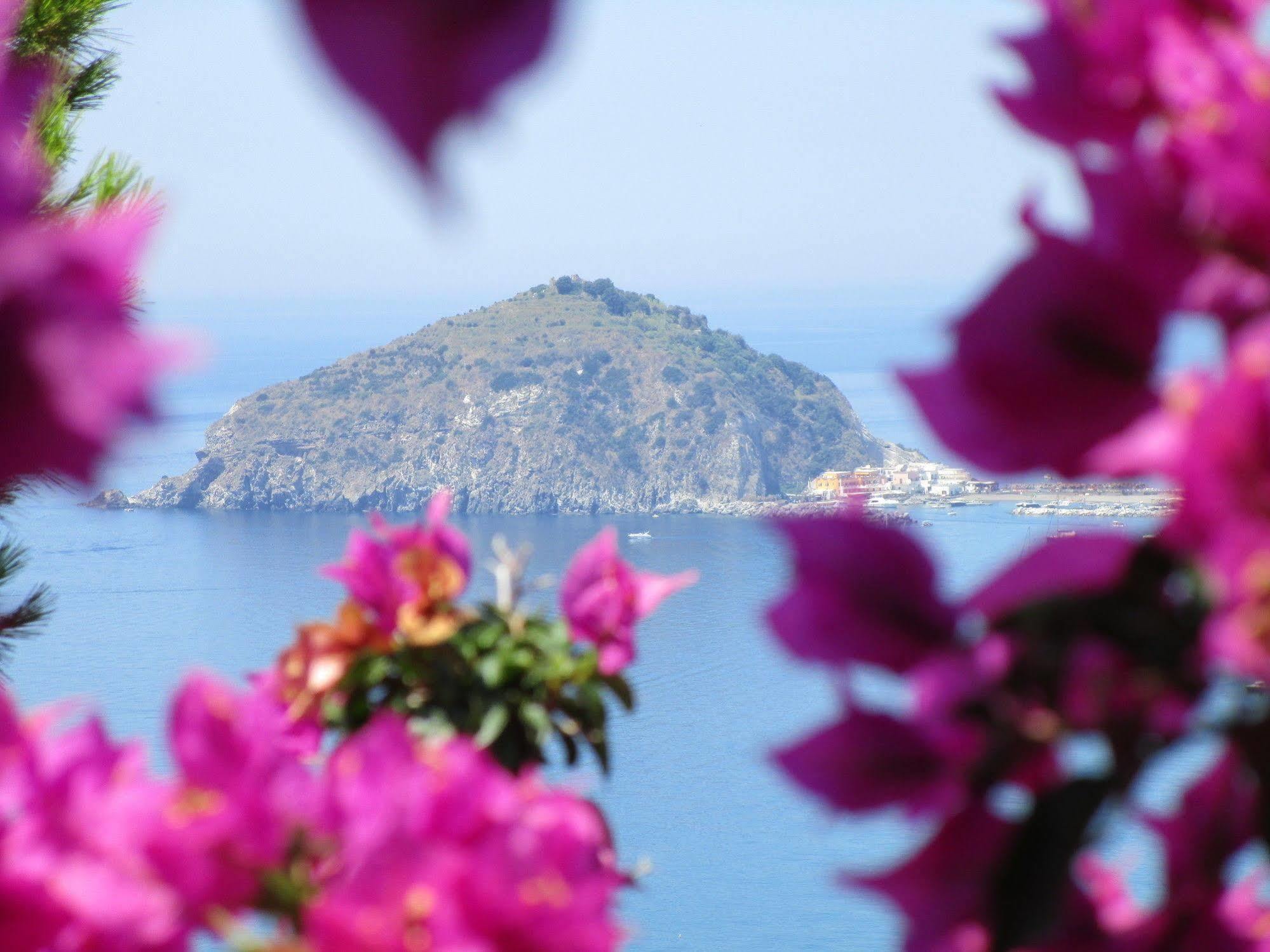 Hotel Villa Al Mare Barano d'Ischia ภายนอก รูปภาพ